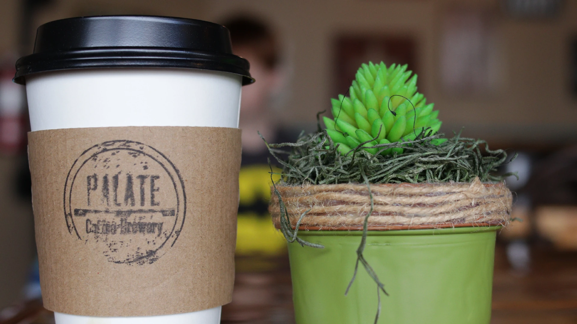 Coffee Across America - Palate Coffee Brewery - Sanford, Florida